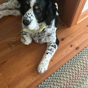 Meet your Posher, Diane